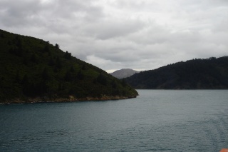 DÍA 13 OCTUBRE: WANGANUI-WELLINGTON DÍA 14 OCTUBRE: WELLINGTON-NELSON-WESTPORT - Nueva Zelanda \'09 (4)