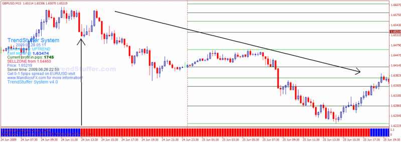 Ib master forex