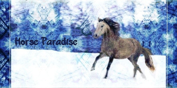 Horse-paradise
