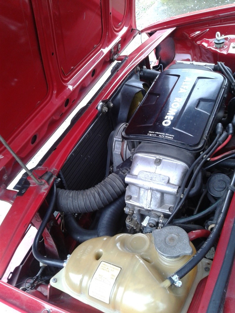 2013-076.jpg