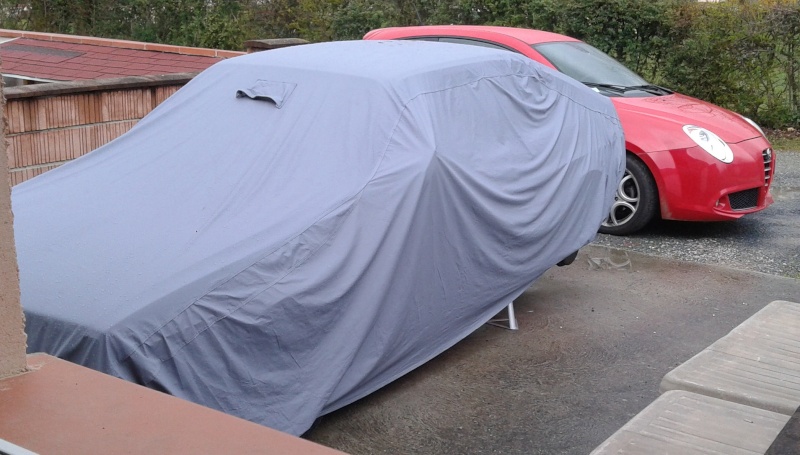 2013-126.jpg