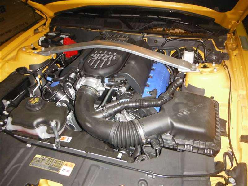 21798410.jpg