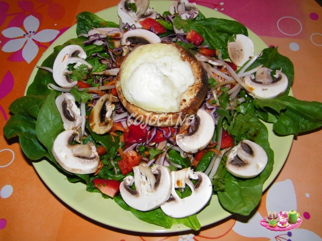 http://i69.servimg.com/u/f69/11/69/53/34/101_1226.jpg