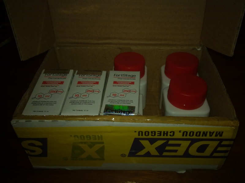 25032011.jpg